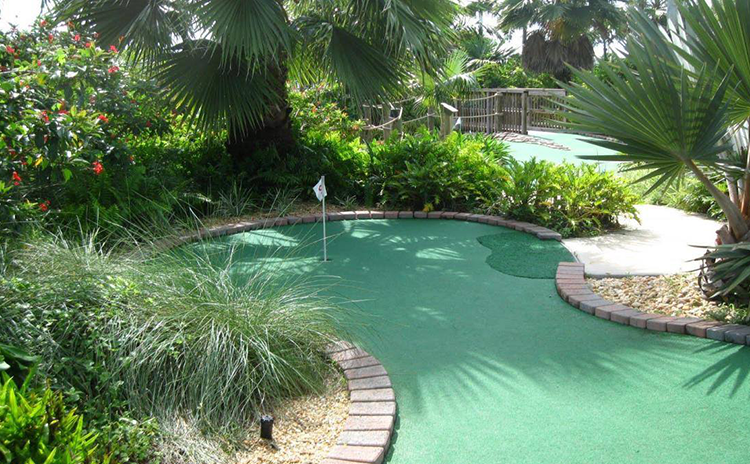 Mini golf course hole surrounded by trees and foliage